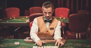 Как войти на сайт DBbet Casino